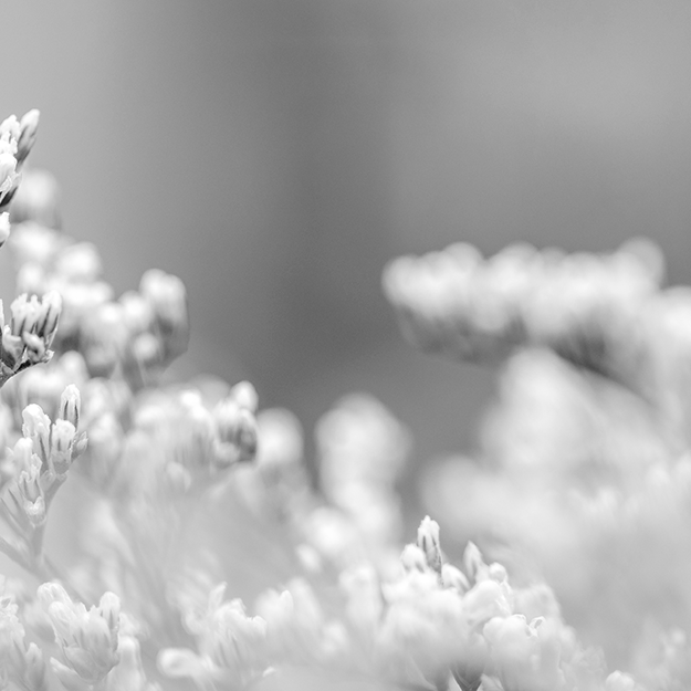 Sample Post 2